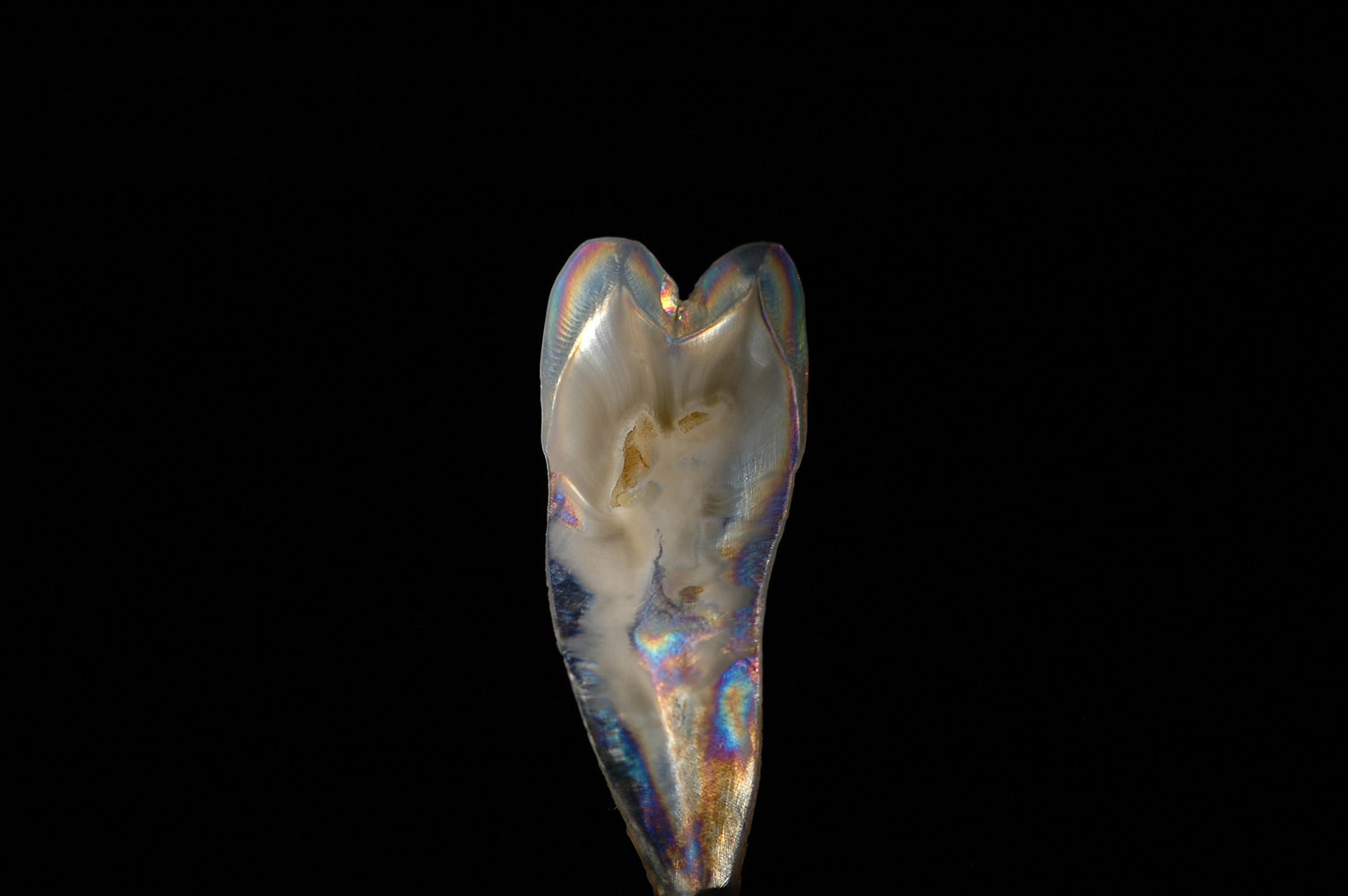 DSC_0159