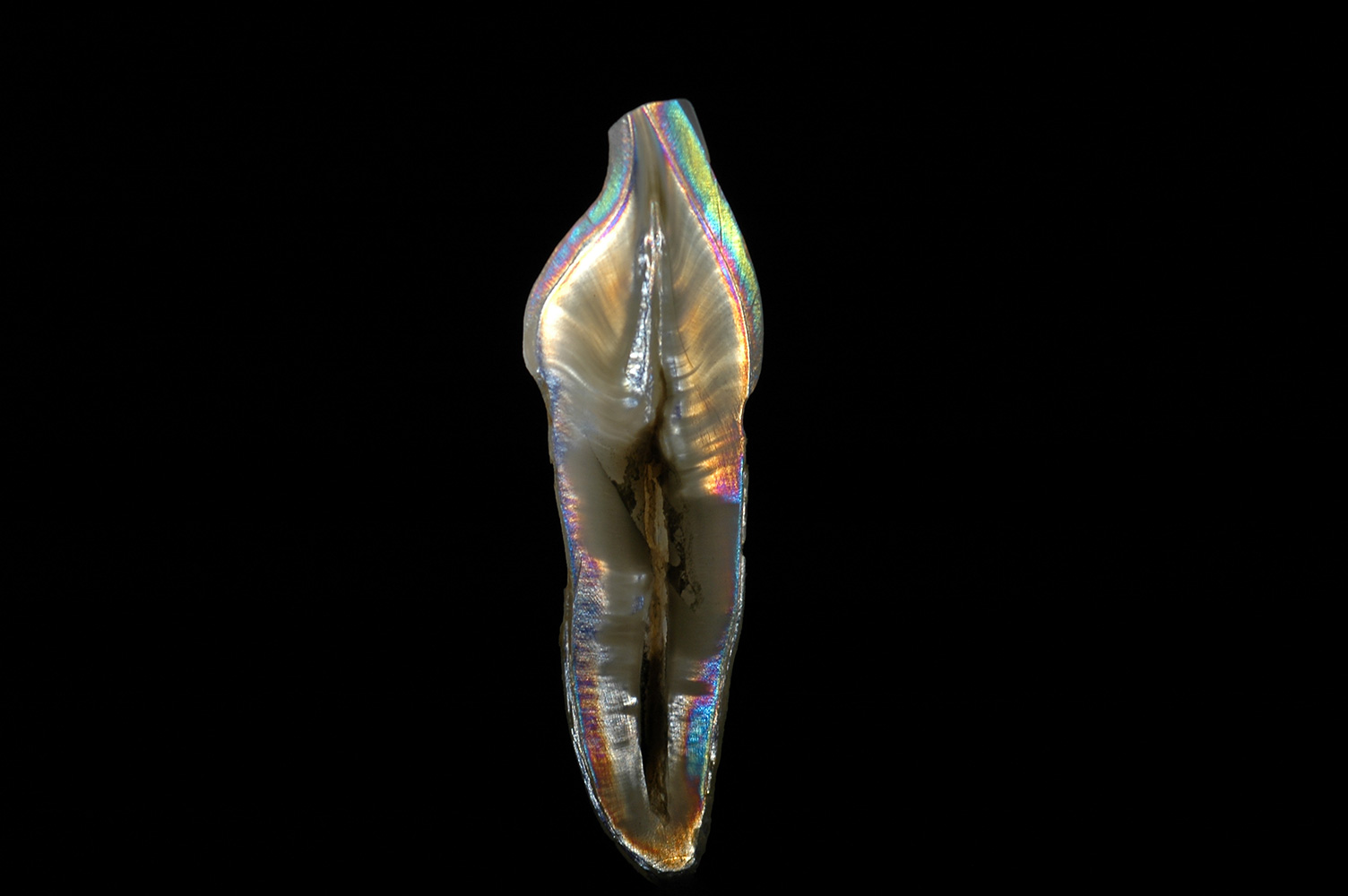 DSC_0300